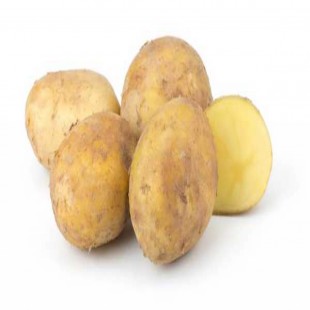 Potato Seasonal-1 kg