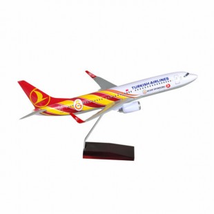 Tk Collection B737/800 1/100 GS Model Plane